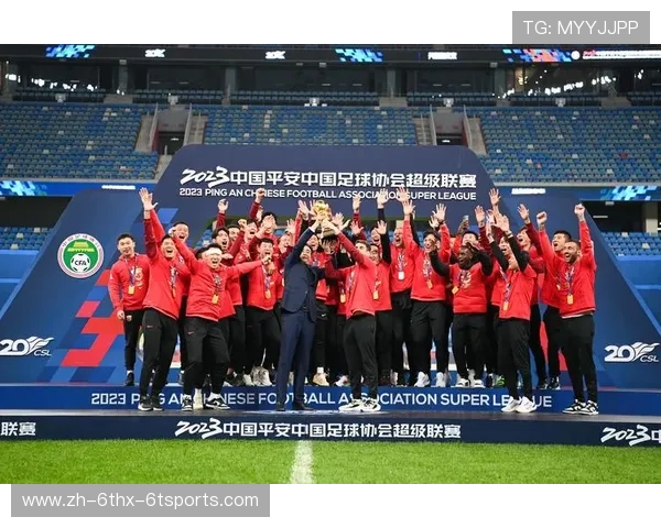 第二十九届中超联赛赛季回顾与参赛队伍分析